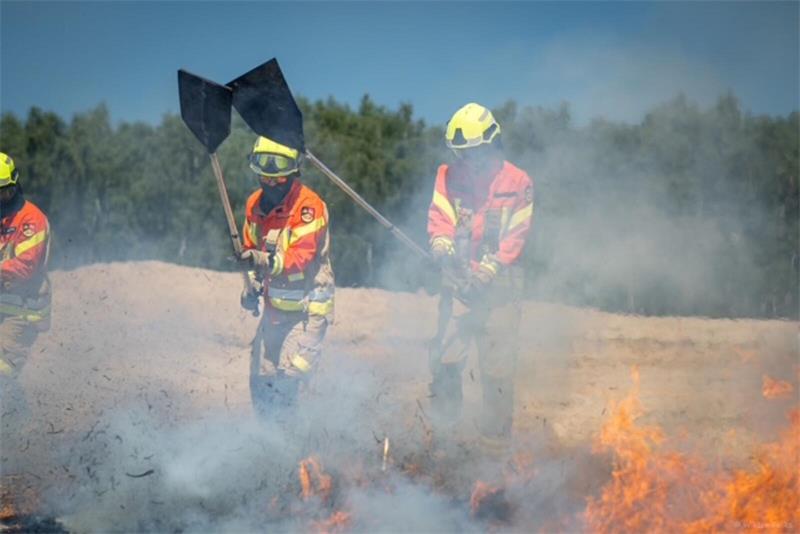 Wie Einsatzkräfte aus dem Kreis Goslar sich auf Großbrände vorbereiten Feuerwehrleute schlagen mit Feuerwehrpatschen auf Flammen.