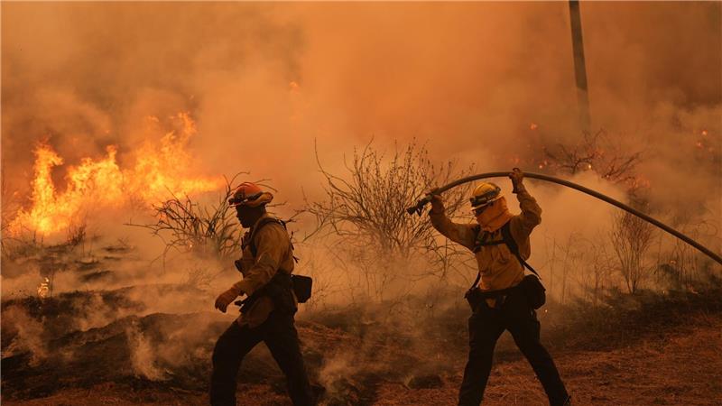 Feuerwehrleute kämpfen gegen das Canyon Fire bei Hasley-Canyon.