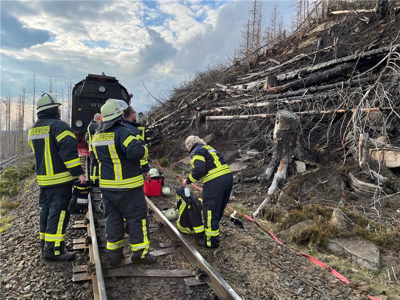 Feuerwehrleute stehen vor einem abgebrannten Waldstück am Brocken auf den Gleisen der Bahnstrecke.  Foto: Matthias Bein/dpa