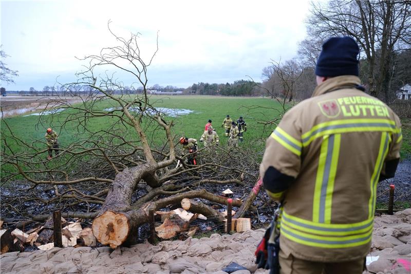 Feuerwehr: Anwohner in Sandkrug können zurück in ihre Häuser Feuerwehrleute zersägen einen umgestürzten Baum bei Sandkrug.