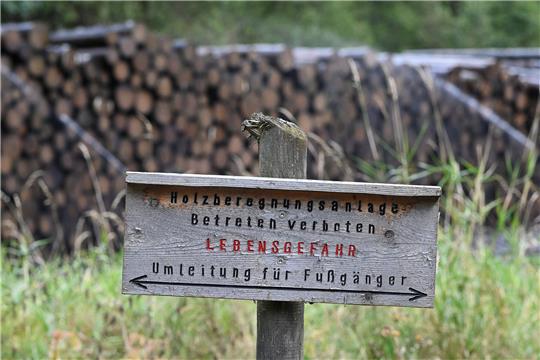 Fichtenstämme, die im Januar 2018 beim Orkantief Friederike gefallen sind, liegen in einem Holznasslager im Kellwassertal hinter einem Holzschild mit der Aufschrift «Holzberegnungsanlage». Foto: Swen Pförtner/dpa