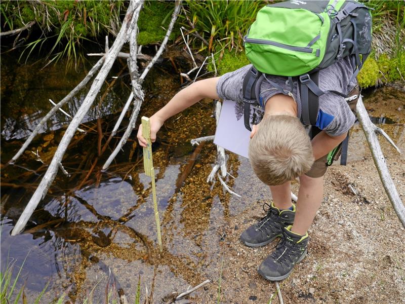 „Findet die Wasseramsel genügend Nahrung?“ Die Kinder gehen der Sache direkt im Bach auf den Grund.