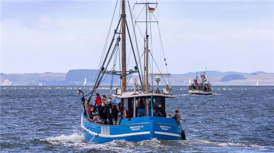 Fischbestände erholen sich nicht in dem Maße wie erwartet. (Symbolbild)
