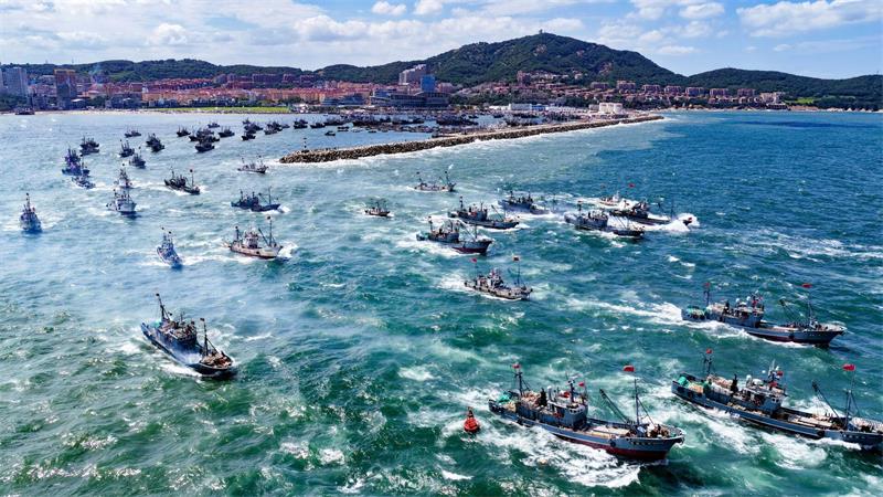 Fischereiboote steuern in der ostchinesischen Provinz Shandong auf die Fanggründe zu.