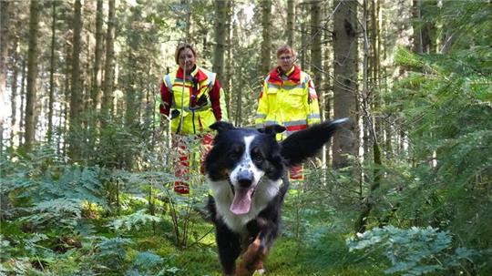 Flächenhündin Fine freut sich ganz besonders, wenn sie im Wald ihr Ziel findet. Denn das bedeutet, es gibt Würstchen.