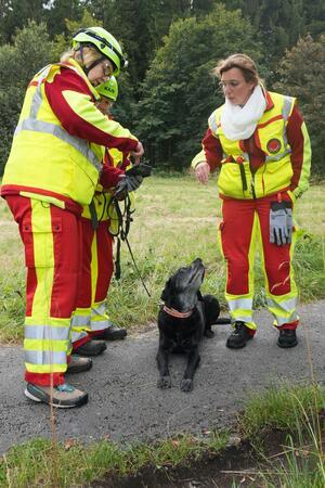 So trainieren Suchhunde im Harz für den Ernstfall Flächenhund Arrak schnuppert aufgrund seines Alters in einem kleineren Gebiet.