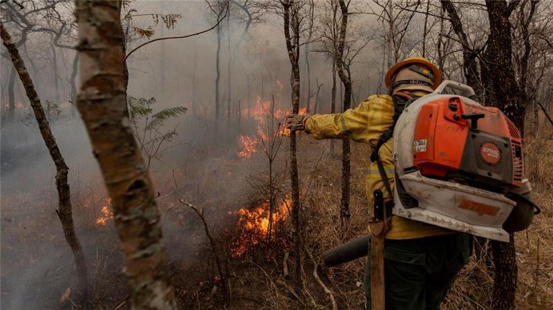 Indigene Feuerwehrleute kämpfen in Brasilien gegen Flammen Flammen fressen sich durch die trockene Landschaft.