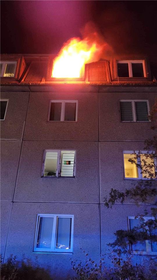 Flammen schlagen aus dem Fenster einer Dachgeschosswohnung in der Kulkstraße. Foto: Feuerwehr Halberstadt