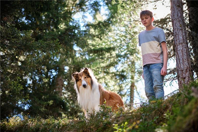 Mit Lassie nach Südtirol Flo (Nico Marischka) will sich auch in den Ferien nicht von Lassie trennen.