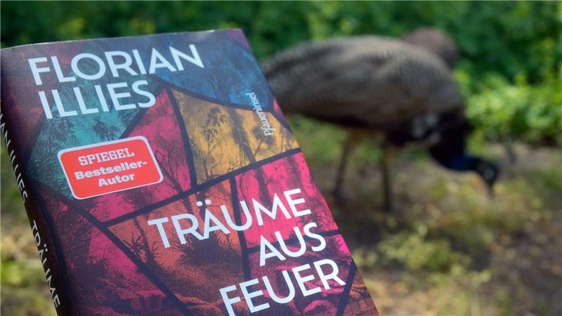 Florian Illies‘ „Träume aus Feuer“ ist eine Parabel darüber, wie aus einem gescheiterten Traum etwas Wertvolleres entstehen kann.
