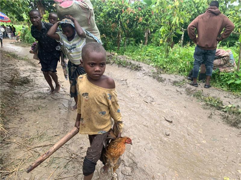 UN: Hunderttausende auf der Flucht vor Kämpfen im Ostkongo Flüchtlinge aus der Demokratischen Republik Kongo sind auf dem Weg zu einem Auffanglager im Bezirk Bundibugyo im Westen Ugandas.