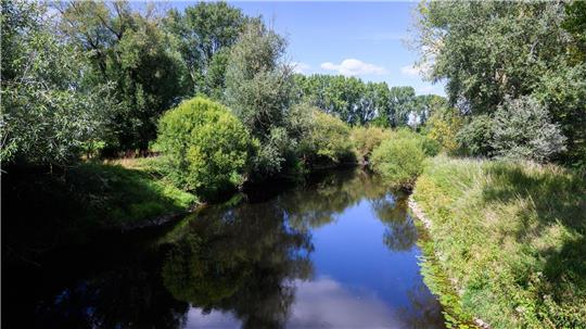 Flüsse wie die Leine leiden in Niedersachsen zunehmend unter niedrigen Wasserständen.