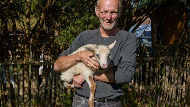 Halb Schaf, halb Ziege - mutmaßliche Schiege geboren Flumo wurde nach dem Flugmodus-Technofestival benannt, das zur Zeit seiner Geburt gerade auf dem Resthof stattfand.