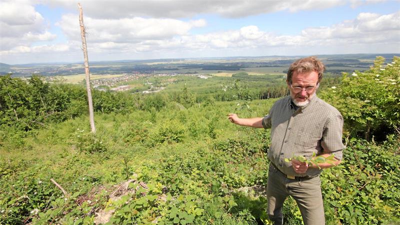 Förster Rainer Hoffmeister am Nordberg: Er präsentiert eine Fläche, auf der ein neuer Mischwald für den Harz entsteht.