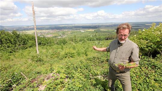 Förster Rainer Hoffmeister am Nordberg: Er präsentiert eine Fläche, auf der ein neuer Mischwald für den Harz entsteht.
