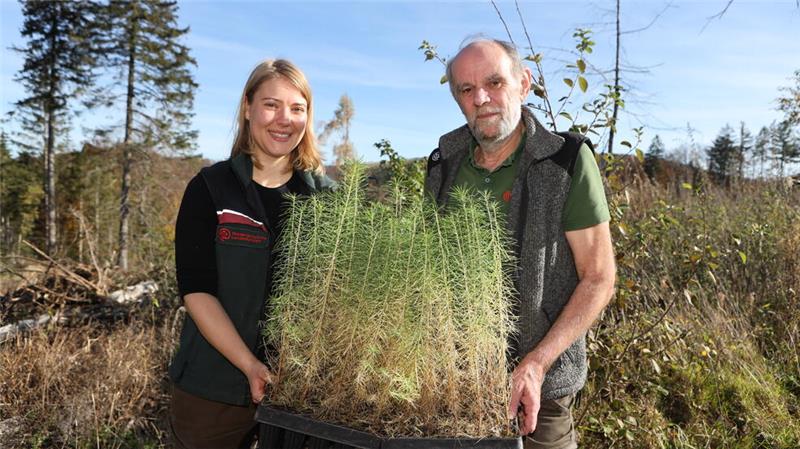 Pflanzaktion im Harz zum Langelsheimer Feuerwehr-Jubiläum Försterin Johanna Precht mit ihrem Vorgänger im Revier, Wilfried Henze, der die Pflanzaktion eingestielt hat.