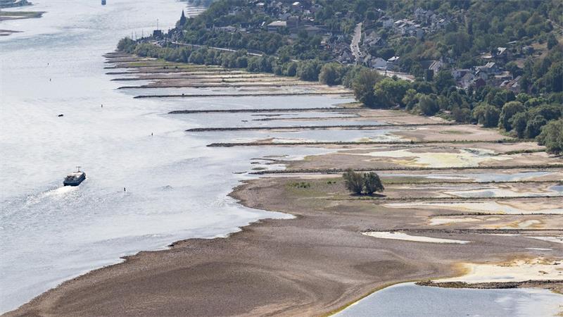 Folge des ungewöhnlich heißen Sommers: Der Rhein führt extrem wenig Wasser.
