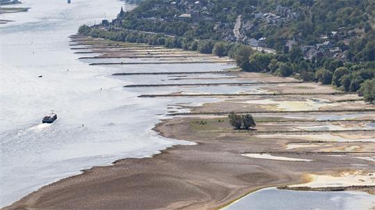Folge des ungewöhnlich heißen Sommers: Der Rhein führt extrem wenig Wasser.