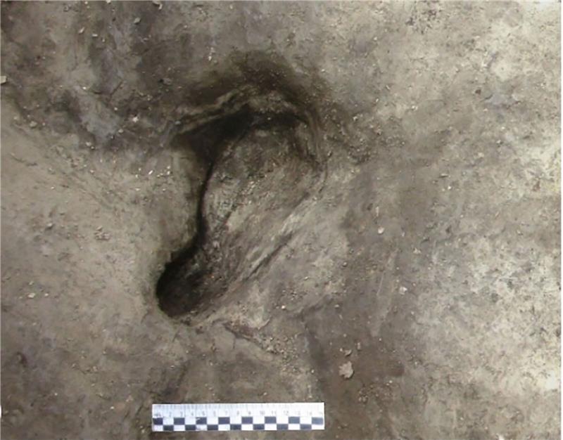 Forscher entdecken älteste bekannte Urmensch-Fußspuren Forscher haben die vermutlich ältesten bekannten Fußspuren von Urmenschen in Deutschland entdeckt.
