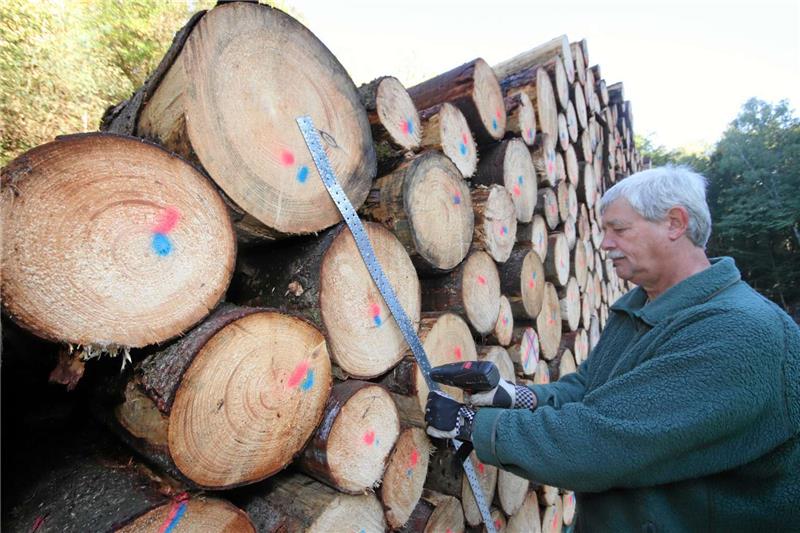 Forstarbeiter Uwe Kassebaum stabilisiert an den Enden den Holzpolter, damit die Stämme nicht wegrollen können.