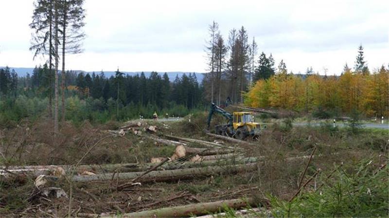 Harzer-Hexen-Stieg bei Altenau noch bis Samstag teilweise gesperrt Foto: Landesforsten