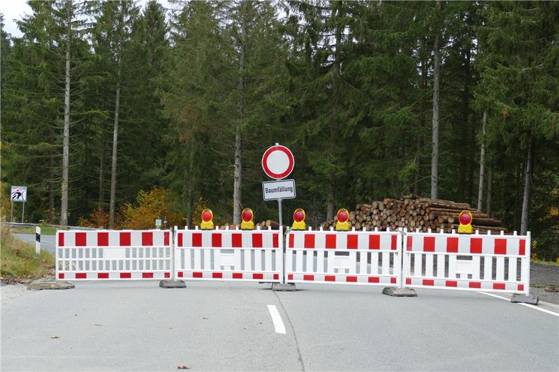 Baumfällarbeiten: Wanderweg von Romkerhalle bis zu den Feigenbaumklippen muss gesperrt werden Foto: Niedersäschsische Landesforsten