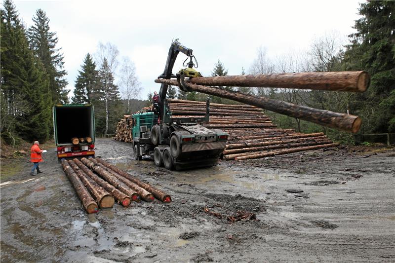 Frank Porstendorfer aus Nusse (li.) lässt am Dietrichsberg gegenüber des Hauptanlegers der Okerseeschifffahrt den Containerlaster von Willy Schäfer aus Bispingen mit dem Langholztransporter beladen. Derzeit ein Alltagsbild im Harz. Foto: Bruns
