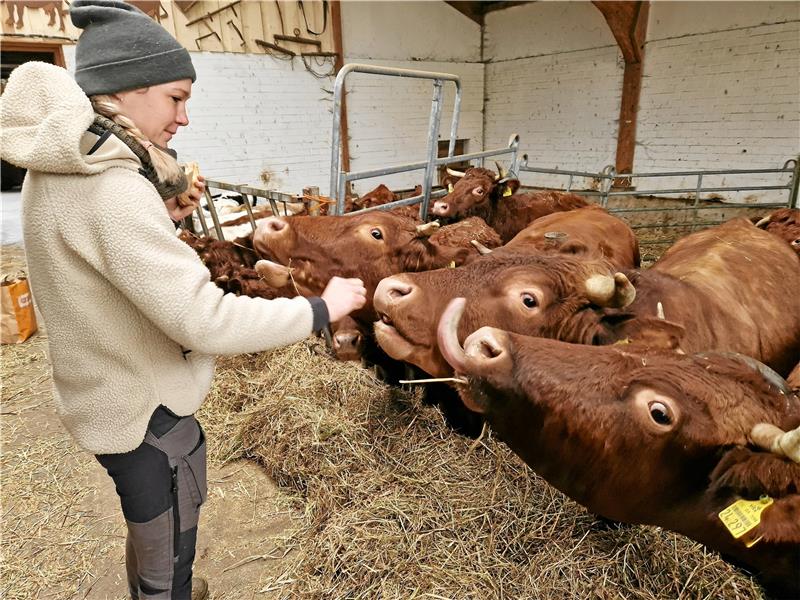 Franzi Herberger weiß, wie sie das Harzer Höhenvieh anlocken kann. Foto: Knoke