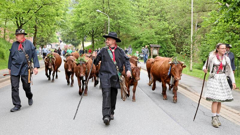 Franzi (r.) und Jens Herberger (M.) führen den Umzug der „Wildemanner Damenkapelle“ an.
