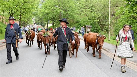 Franzi (r.) und Jens Herberger (M.) führen den Umzug der „Wildemanner Damenkapelle“ an.
