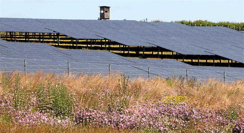 Langelsheim: Wie viel Freiflächen-Photovoltaik darf es denn sein? Freiflächen-Photovoltaikanlagen in der Landschaft gibt es im Langelsheimer Stadtgebiet bislang nicht – anders als in der Nachbarkommune. Dieser hier erstreckt sich beispielsweise zwischen Liebenburg und Neuenkirchen.