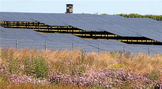 Freiflächen-Photovoltaikanlagen in der Landschaft gibt es im Langelsheimer Stadtgebiet bislang nicht – anders als in der Nachbarkommune. Dieser hier erstreckt sich beispielsweise zwischen Liebenburg und Neuenkirchen.