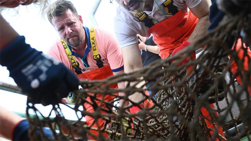 Freiwillige suchen an Deck die geborgenen Netze nach Meereslebewesen ab. 