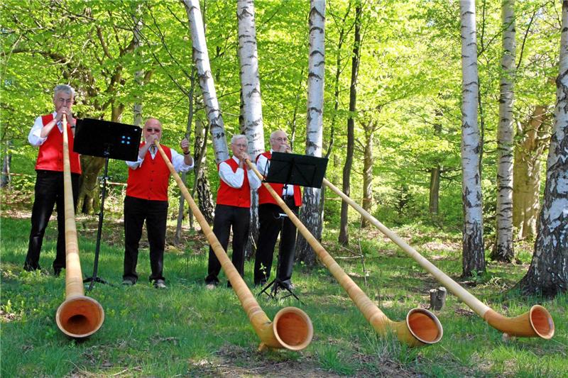 Alphörner tönen durch den Harzwald Fremde Klänge: Eher selten sind Alphörner im Harz zu vernehmen, am Sonntag allerdings vor dem Molkenhaus.Die Alphorngruppe Weserbergland war von Alfred Heineke, Vorsitzender des Harzklub-Zweigvereins Bad Harzburg, eingeladen worden.