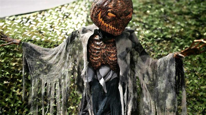 Welche Halloween-Angebote gibt es in Goslar? „Fremde Kreaturen“, soll es in der Begegnungsstätte in Oker geben.