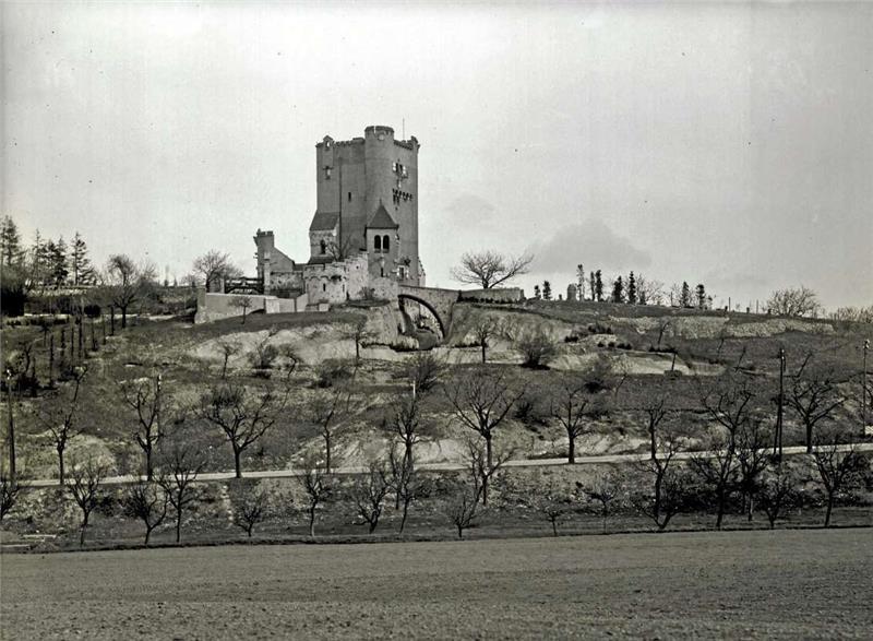 Friedrich Behme hat die Roseburg in Rieder bei Ballenstedt aufgenommen.