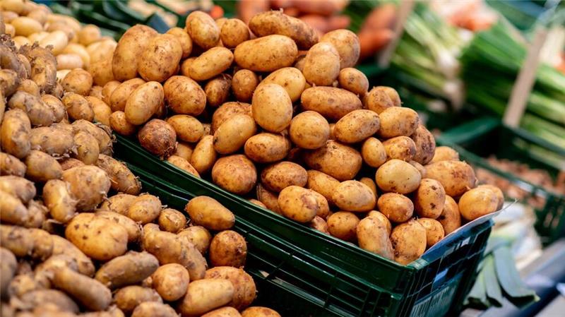 Kulinarisch und kulturell: Comeback der Kartoffel? Frische Kartoffeln an einem Wochenmarktstand in Oldenburg (Niedersachsen).