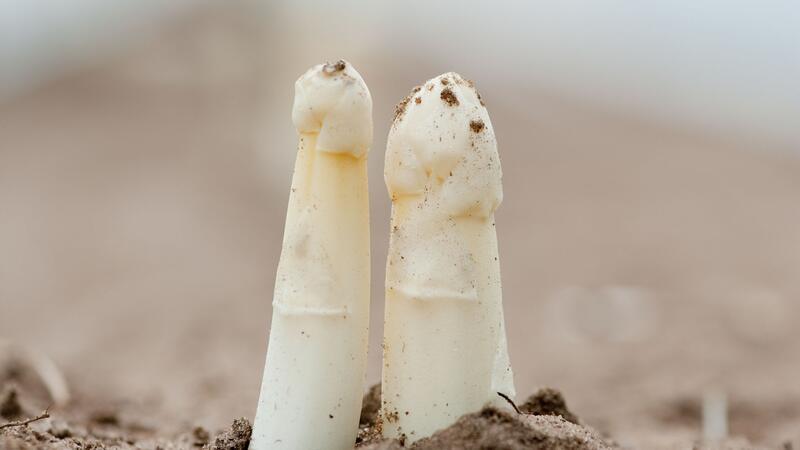 10 Dinge, die Sie über Spargel wissen sollten Frischen Spargel erkennen Verbraucher an den geschlossenen Spitzen.
