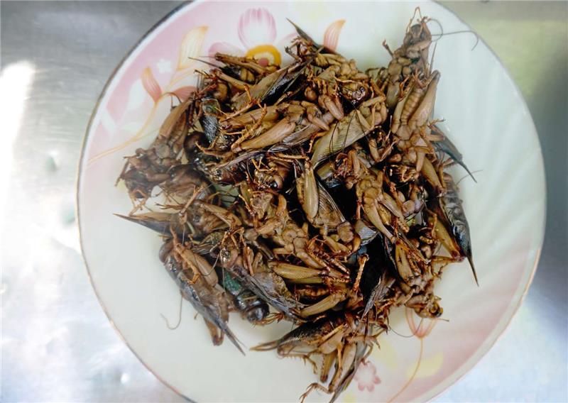 Fritierte Grillen: In Teilen Asiens kein seltener Anblick.  Foto: dpa