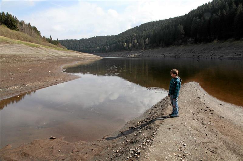 Frühjahr trockengefallen: Auf dem Grund des Schulenberger Arms der Okertalsperre wächst das Gras.