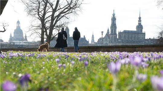 Frühlingshaftes Wetter kündigt sich schon vor dem meteorologischen Frühlingsbeginn am 1. März an.