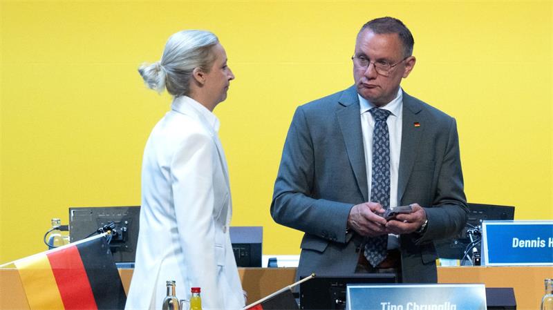 Für Alice Weidel lief die Wiederwahl zur Bundesvorsitzenden etwas besser als für den Co-Vorsitzenden, Tino Chrupalla.