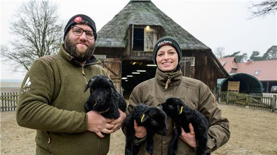 Für Schäfer und Schäferinnen wie Clemens Lippschus und Josefine Schön ist die derzeitige Lammzeit eine extrem intensive und arbeitsreiche Zeit.