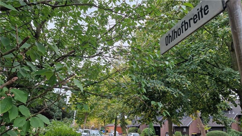 Für Tempo 30: 180 Menschen haben für eine Verkehrsberuhigung auf der Ohlhofbreite unterschrieben.