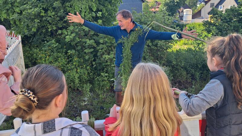 Botaniker Jürgen Feder enthüllt im Oberharz die Wunder der Natur Für das Klettenlabkraut geht Jürgen Feder sogar hinter die Absperrung.