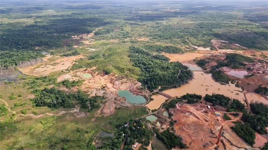 Für den Abbau von Gold – sowohl legal als auch illegal – wurden riesige Flächen im Amazonas-Regenwald abgeholzt. 