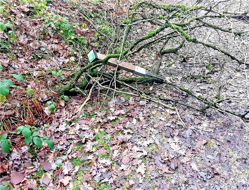 Vandalen wüten im Weltwald in Bad Grund: Polizei ermittelt Für den Vandalismus im Weltwald in Bad Grund werden noch Zeugen gesucht. Foto: Landesforsten