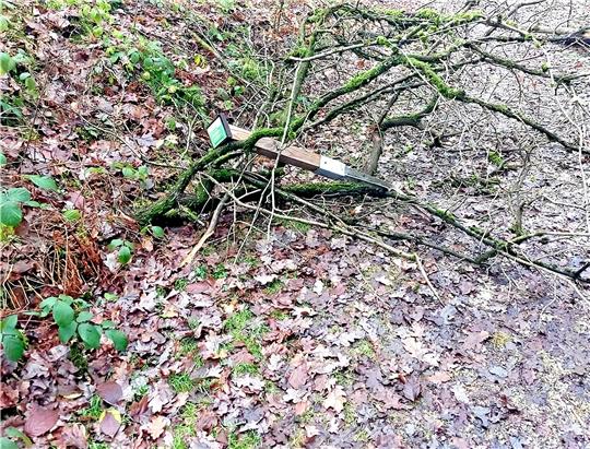 Für den Vandalismus im Weltwald in Bad Grund werden noch Zeugen gesucht. Foto: Landesforsten