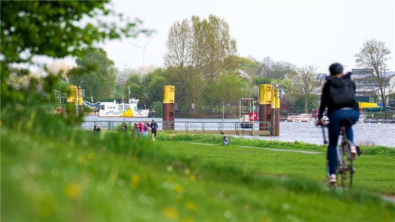 Hannover und Bremen unter Top-3-Großstädten für Radler Für die Erhebung wurden mehr als 200.000 Radfahrer in Deutschland befragt. (Archivbild)