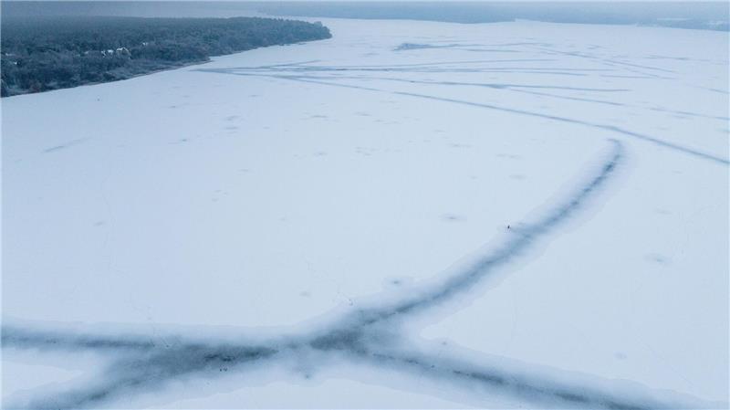 Für die Fische wirkt das Eis nach Aussage eines Experten „beruhigend“.